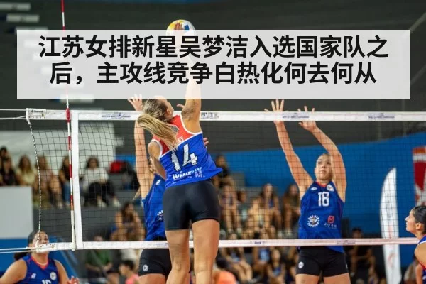volleyball match